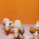 Image for article titled Anthropologie's New Models Are Total Animals